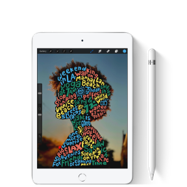 iPad mini Wi-Fi 64 GB Rosa Wi-Fi