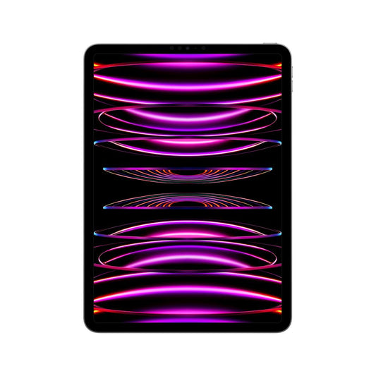 2022 iPad Pro de 11 pulgadas Wi-Fi 256 GB - Gris espacial (4.ª generación)